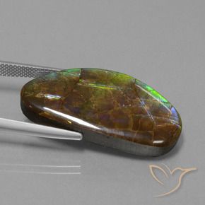 amolita Multicolorido Natural 26.24ct, Chique, Opaco