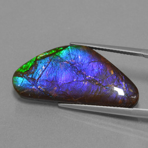 Amolita Multicolorido Natural 18.58ct, Forma extravagante, Opaco