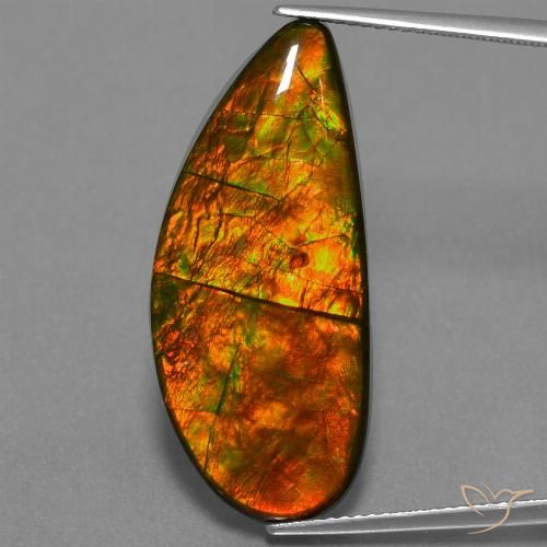 18.94ct Natural Multicolorido amolita, Chique, Opaco