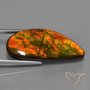 amolita Multicolorido Natural 18.94ct, Chique, Opaco