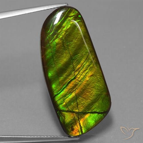25.90ct Natural Multicolorido amolita, Chique, Opaco
