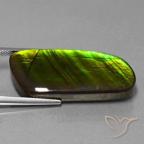 amolita Multicolorido Natural 25.90ct, Chique, Opaco