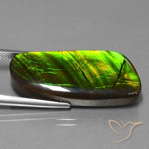amolita Multicolorido Natural 25.90ct, Chique, Opaco