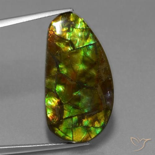 18.96ct Natural Multicolorido amolita, Chique, Opaco