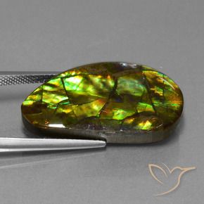amolita Multicolorido Natural 18.96ct, Chique, Opaco