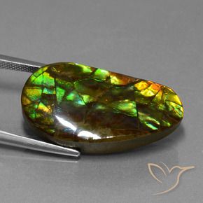 amolita Multicolorido Natural 18.96ct, Chique, Opaco
