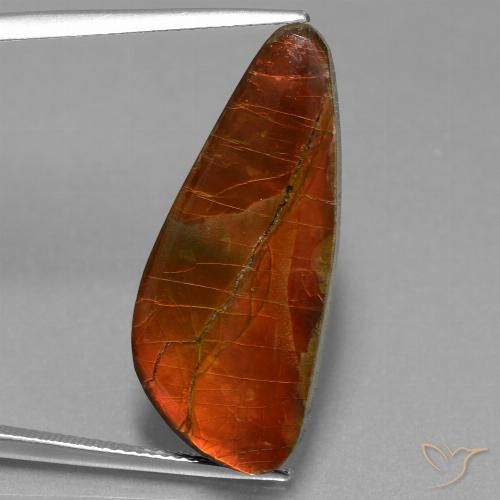 13.94ct Natural Multicolorido amolita, Chique, Opaco