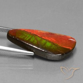 amolita Multicolorido Natural 13.94ct, Chique, Opaco