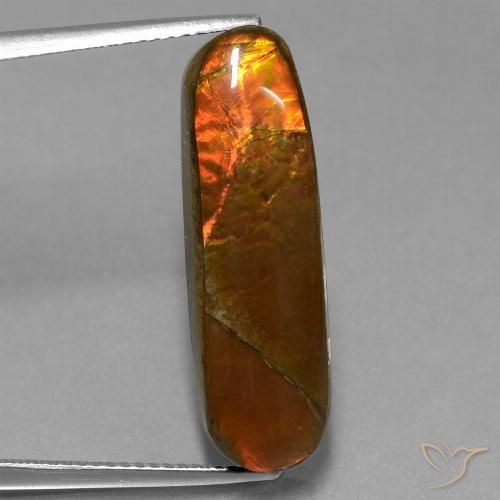 10.96ct Natural Multicolorido amolita, Chique, Opaco