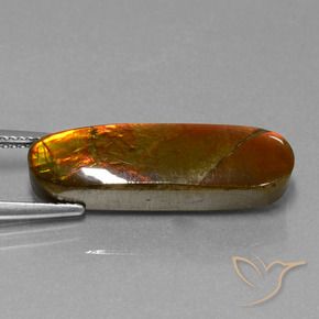 amolita Multicolorido Natural 10.96ct, Chique, Opaco