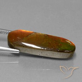 amolita Multicolorido Natural 10.96ct, Chique, Opaco