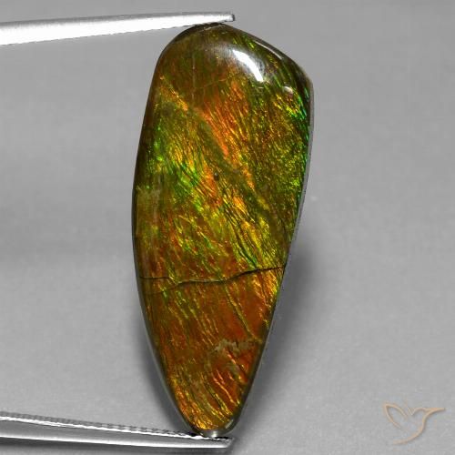 18.13ct Natural Multicolorido amolita, Chique, Opaco