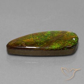 amolita Multicolorido Natural 18.13ct, Chique, Opaco