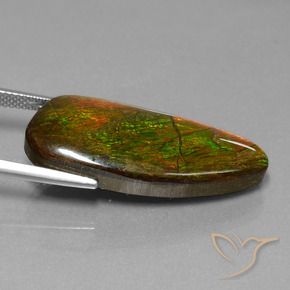 amolita Multicolorido Natural 18.13ct, Chique, Opaco