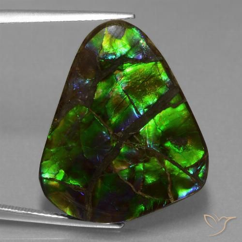 21.05ct Natural Multicolorido amolita, Trilhão, Opaco