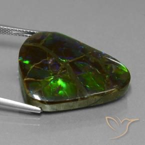 amolita Multicolorido Natural 21.05ct, Trilhão, Opaco