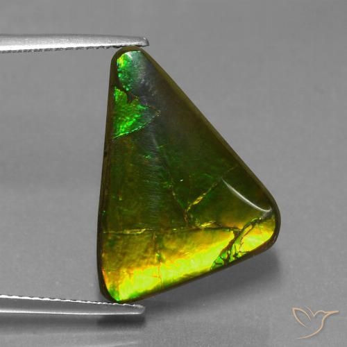 Ammolita multicolorido natural 11,34ct, trillion, opaco