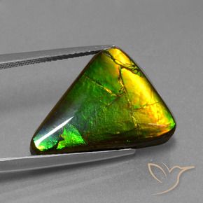 Ammolita multicolorido natural 11,34ct, trillion, opaco