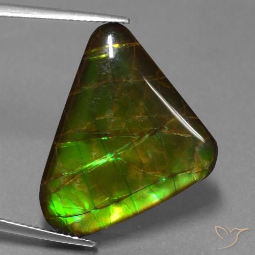 21.83ct Natural Multicolorido amolita, Trilhão, Opaco