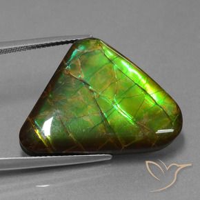 amolita Multicolorido Natural 21.83ct, Trilhão, Opaco