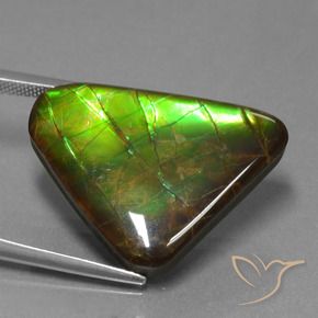 amolita Multicolorido Natural 21.83ct, Trilhão, Opaco