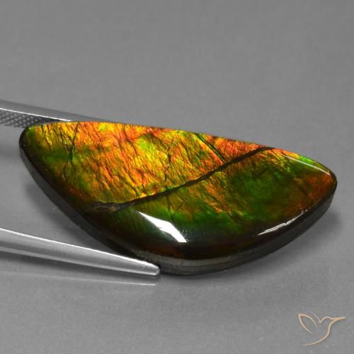 amolita Multicolorido Natural 19.31ct, Chique, Opaco