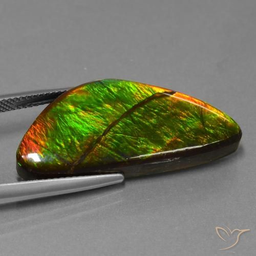 amolita Multicolorido Natural 19.31ct, Chique, Opaco