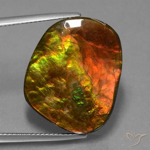 20.65ct Natural Multicolorido amolita, Chique, Opaco