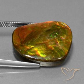 amolita Multicolorido Natural 20.65ct, Chique, Opaco