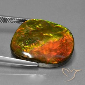 amolita Multicolorido Natural 20.65ct, Chique, Opaco