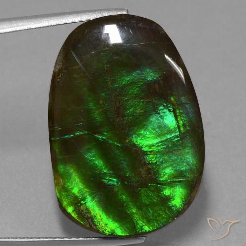 16.23ct Natural Multicolorido amolita, Chique, Opaco