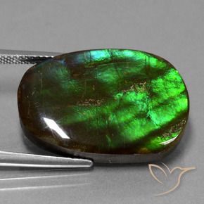 amolita Multicolorido Natural 16.23ct, Chique, Opaco