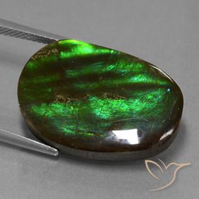 amolita Multicolorido Natural 16.23ct, Chique, Opaco