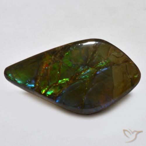 amolita Multicolorido Natural 18.15ct, Chique, Opaco