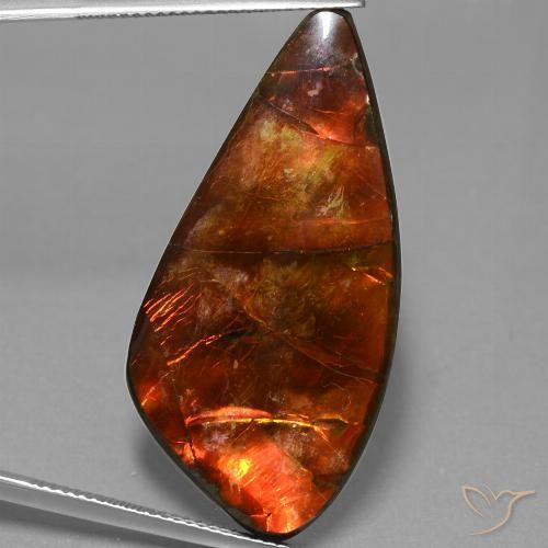 23.09ct Natural Multicolorido amolita, Chique, Opaco