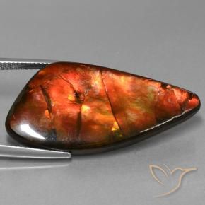 amolita Multicolorido Natural 23.09ct, Chique, Opaco