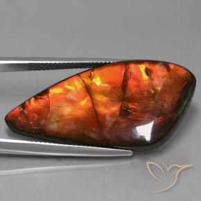 amolita Multicolorido Natural 23.09ct, Chique, Opaco