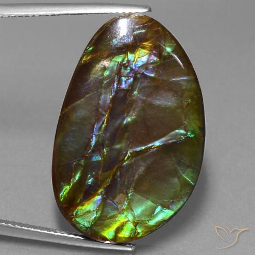 27.74ct Natural Multicolorido amolita, Chique, Opaco