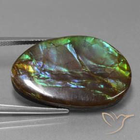 amolita Multicolorido Natural 27.74ct, Chique, Opaco