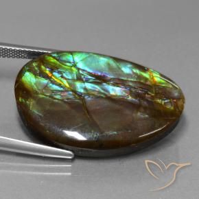 amolita Multicolorido Natural 27.74ct, Chique, Opaco