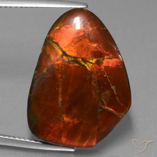 15.20ct Natural Multicolorido amolita, Chique, Opaco