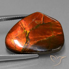 amolita Multicolorido Natural 15.20ct, Chique, Opaco