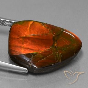 amolita Multicolorido Natural 15.20ct, Chique, Opaco