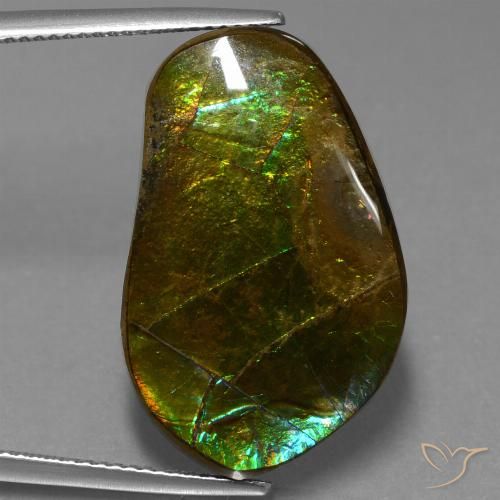 17.83ct Natural Multicolorido amolita, Chique, Opaco