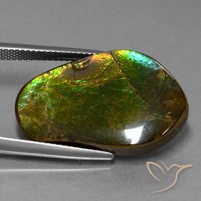 amolita Multicolorido Natural 17.83ct, Chique, Opaco