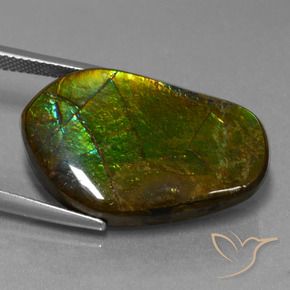 amolita Multicolorido Natural 17.83ct, Chique, Opaco