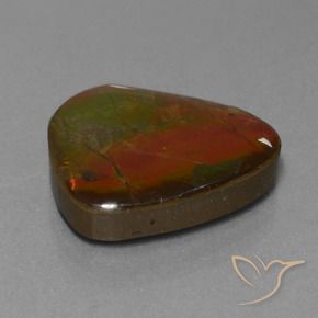 amolita Multicolorido Natural 16.97ct, Chique, Opaco
