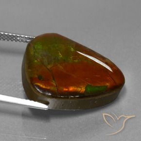 amolita Multicolorido Natural 16.97ct, Chique, Opaco
