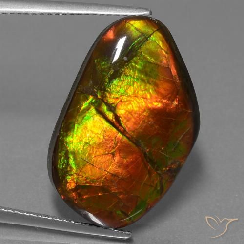 18.18ct Natural Multicolorido amolita, Chique, Opaco
