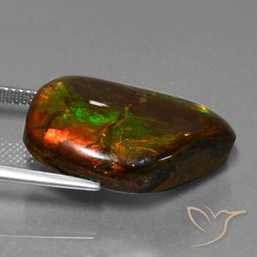 amolita Multicolorido Natural 18.18ct, Chique, Opaco